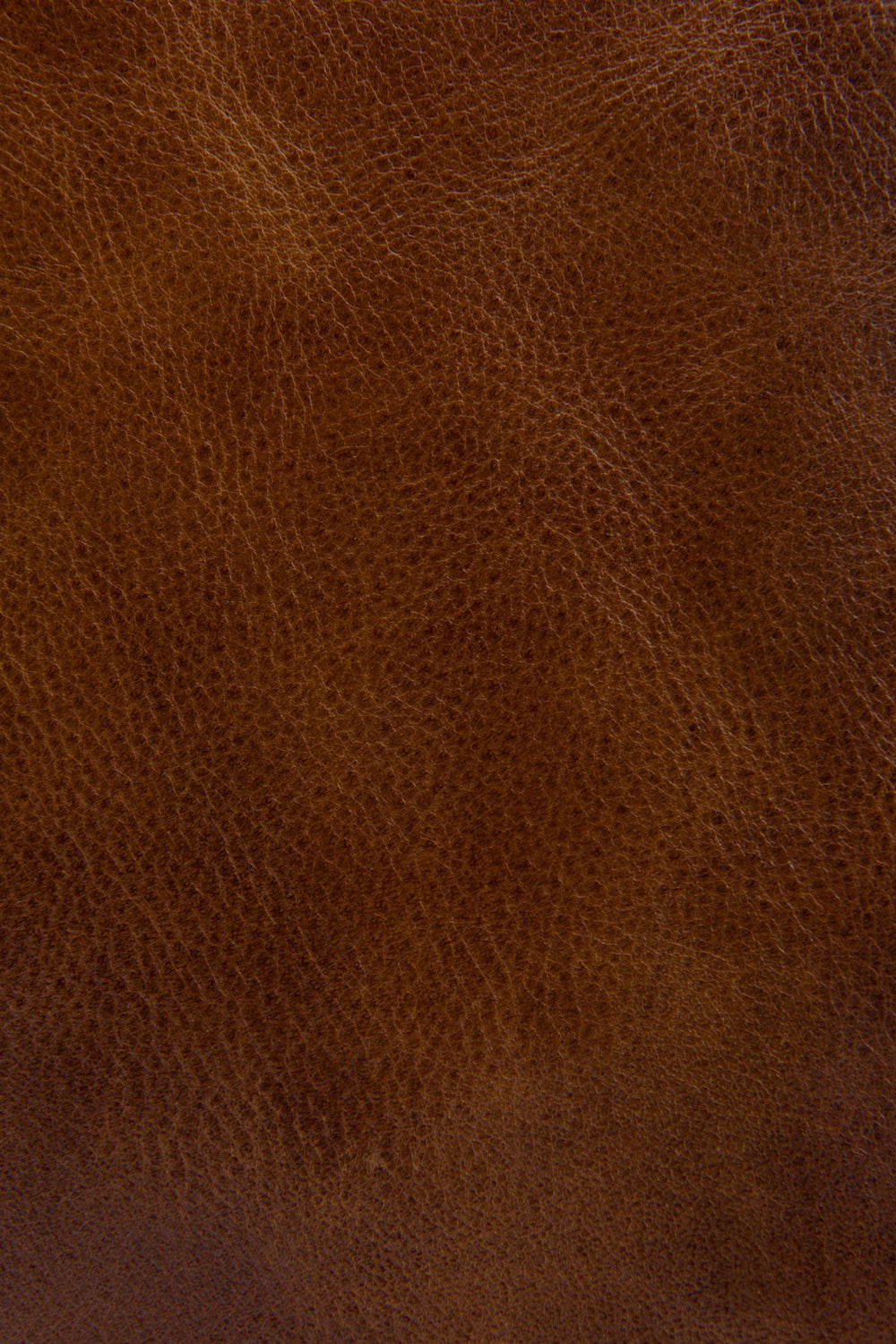Frye Melissa Cognac Zip Crossbody Cognac