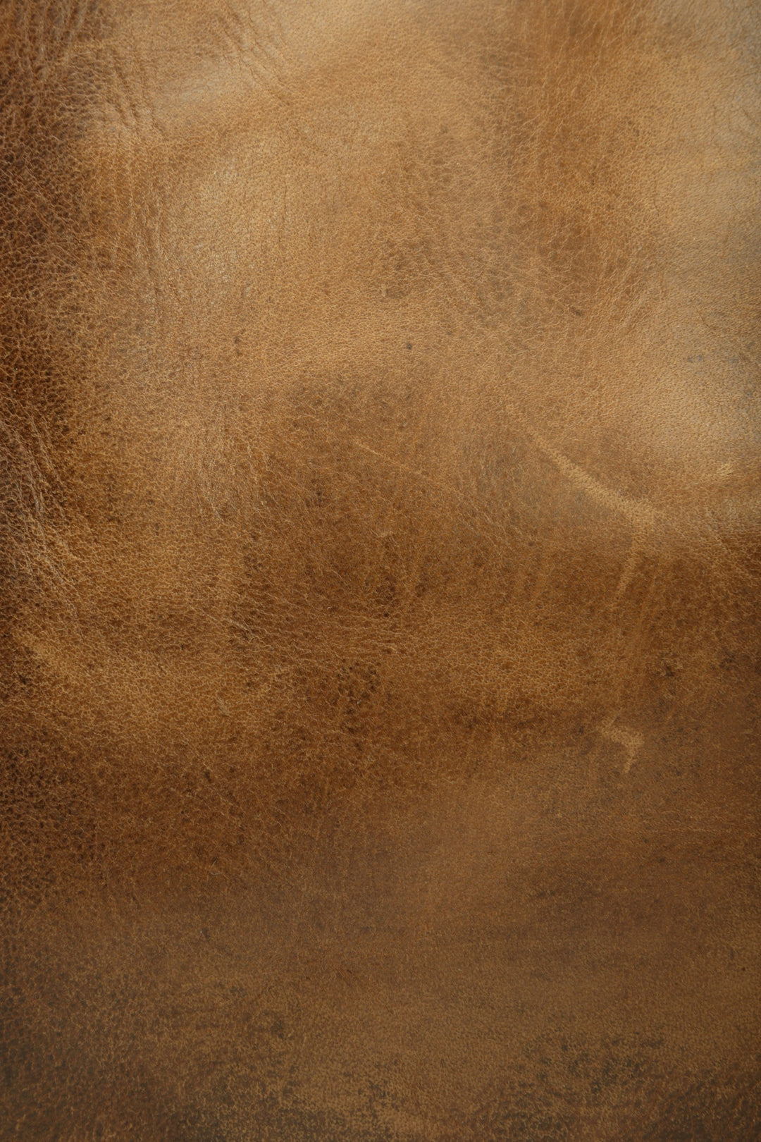 Frye Melissa Cognac Tote Cognac