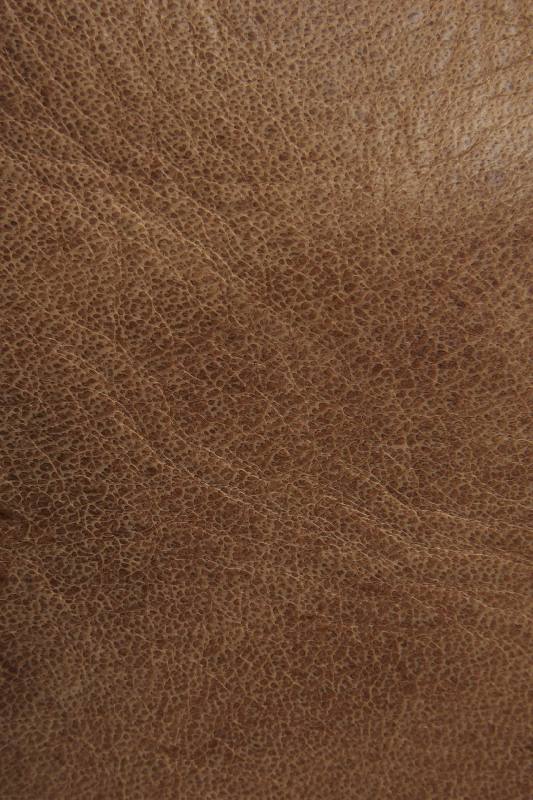 Frye Melissa Beige Tote Beige