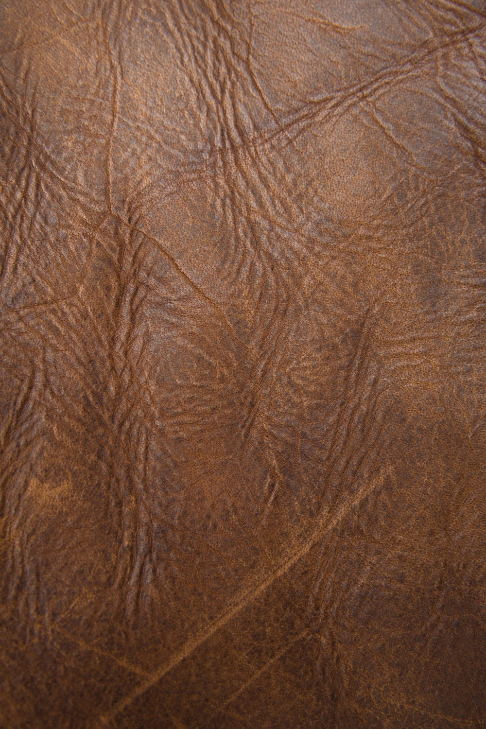 Frye Melissa Dark Brown Satchel Dark Brown
