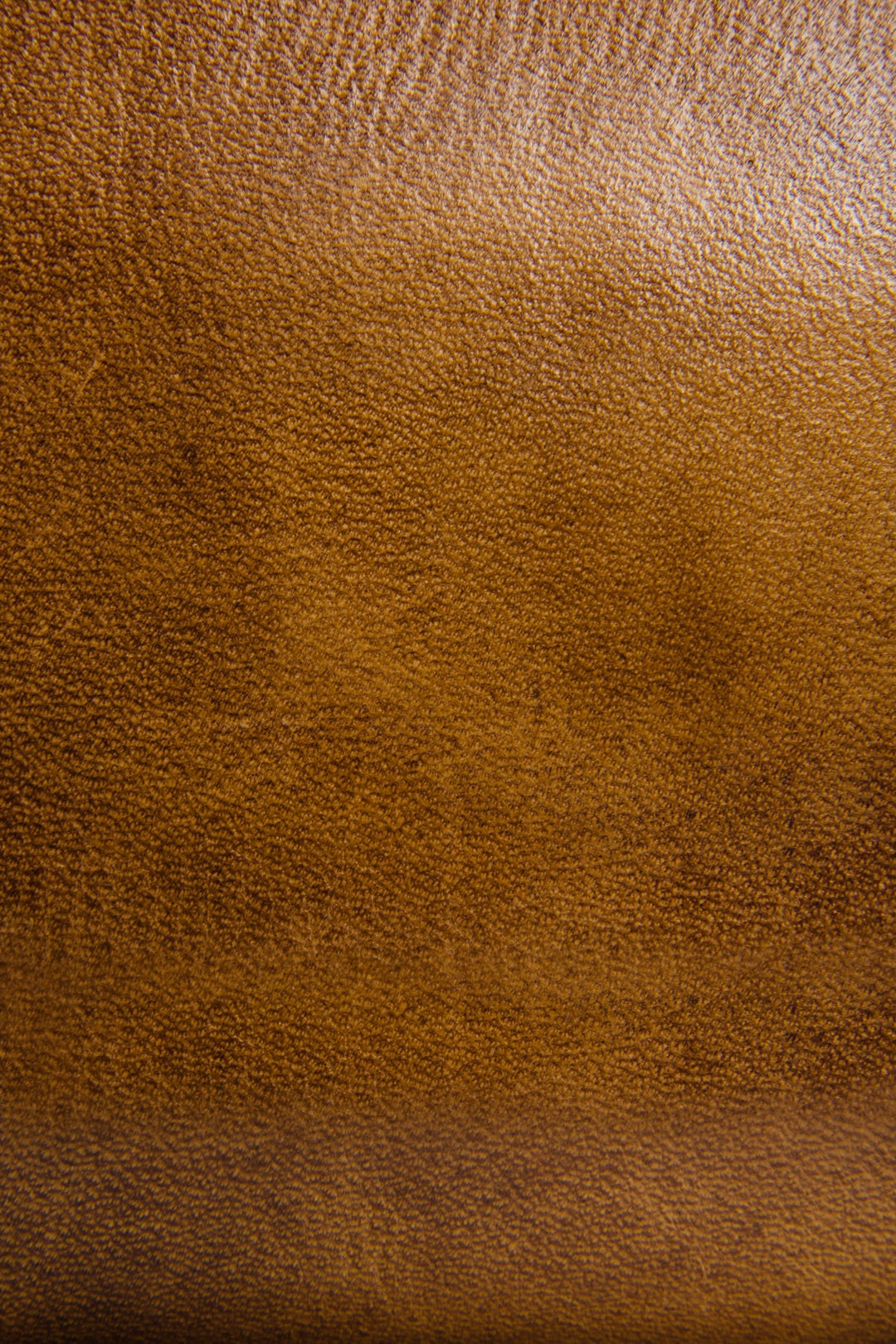 Frye Melissa Beige Zip Wallet Beige