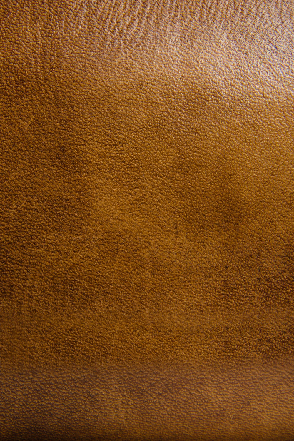 Frye Melissa Beige Zip Wallet Beige