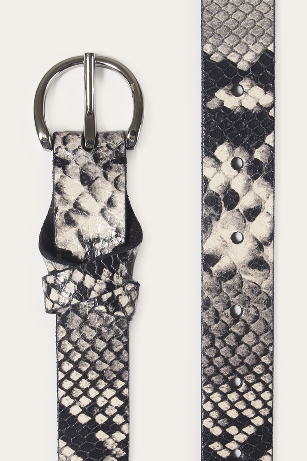 Frye Roccia 25mm Snake Belt Roccia