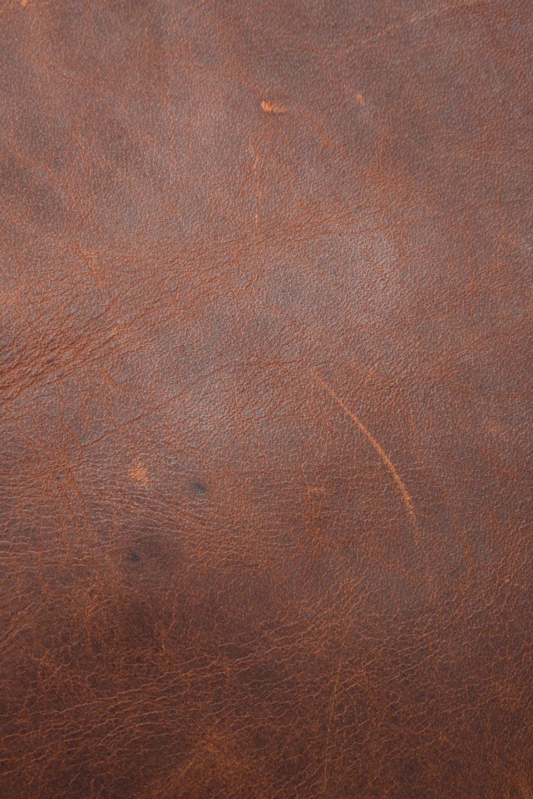 Frye Logan Cognac Backpack Cognac