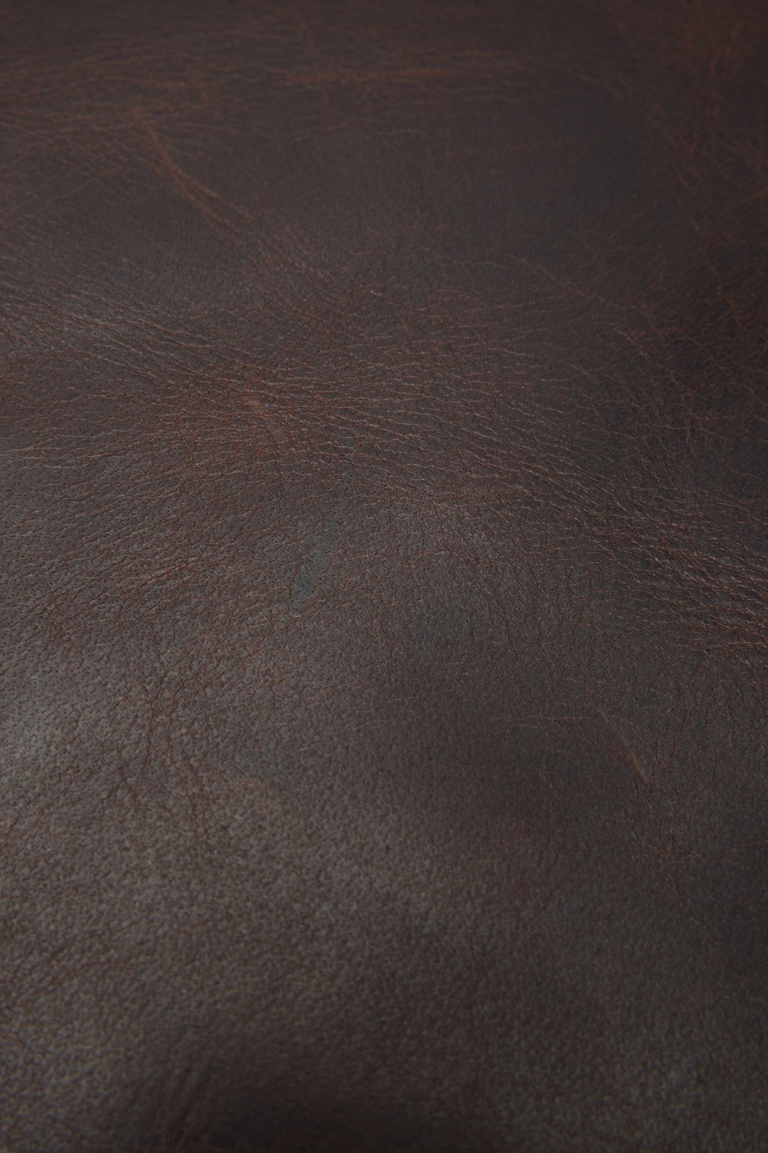 Frye Logan Dark Brown Backpack Dark Brown