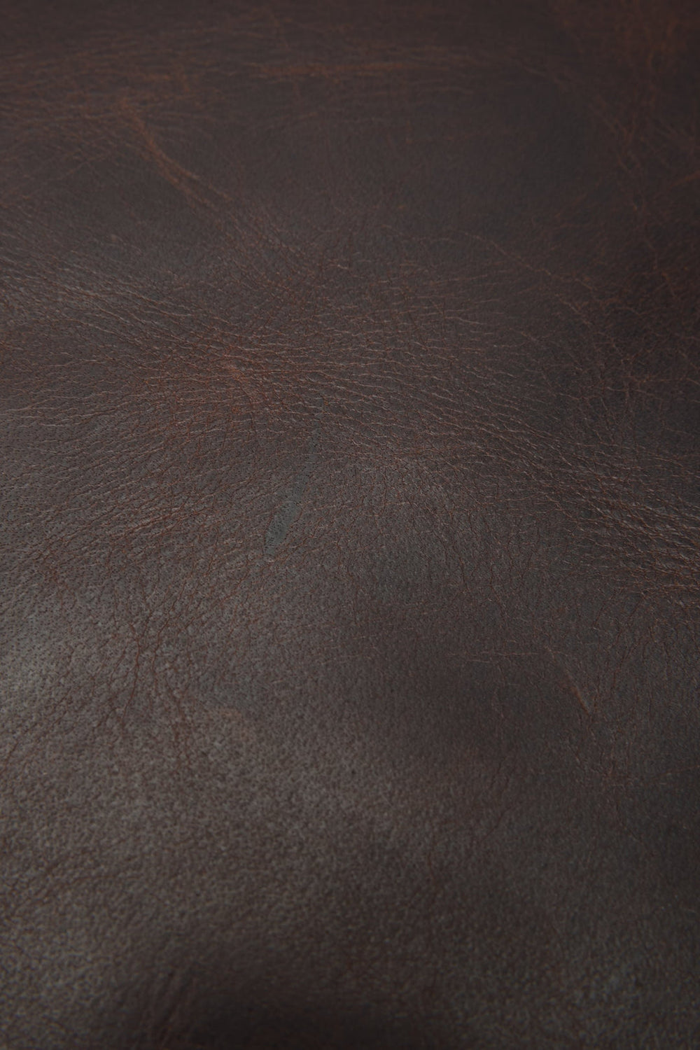 Frye Logan Dark Brown Backpack Dark Brown