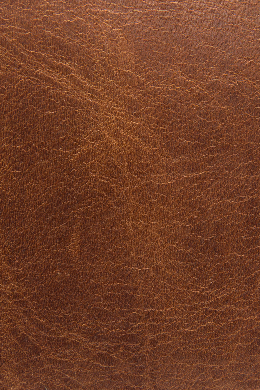 Frye Logan Cognac Top Handle Cognac