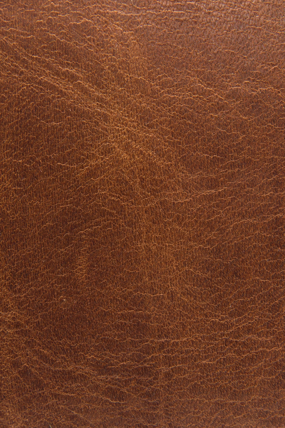Frye Logan Cognac Top Handle Cognac