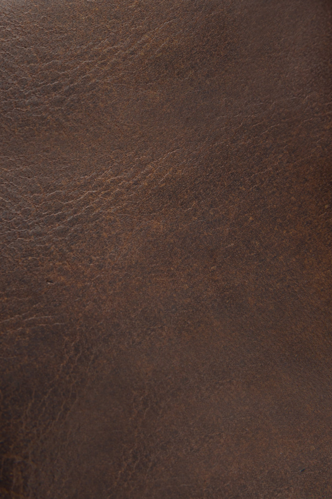 Frye Logan Dark Brown Billfold Dark Brown