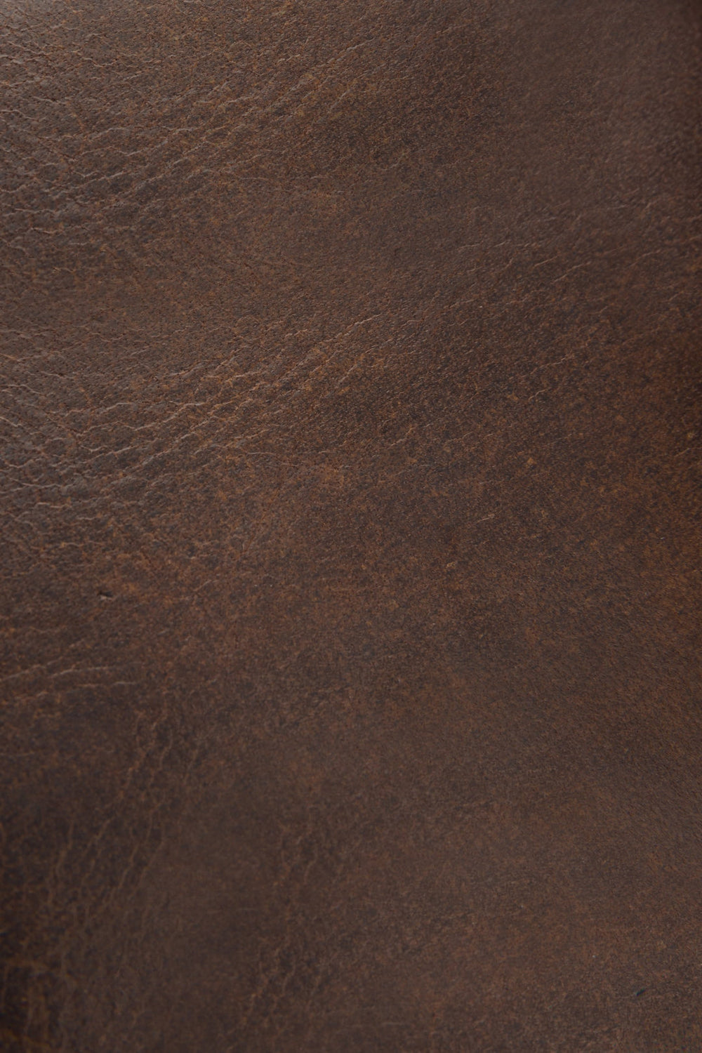 Frye Logan Dark Brown Billfold Dark Brown