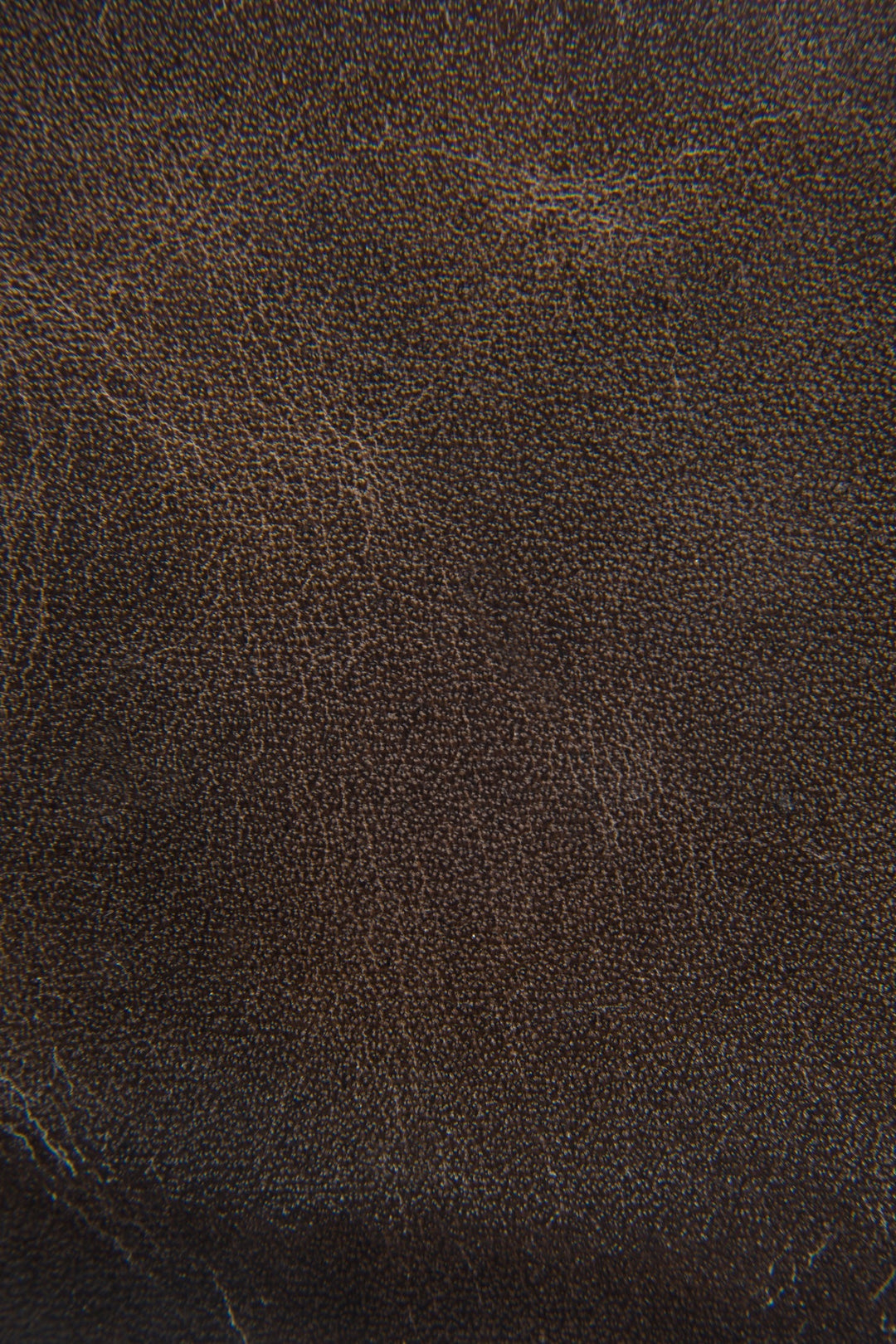 Frye Logan Slate Billfold Slate