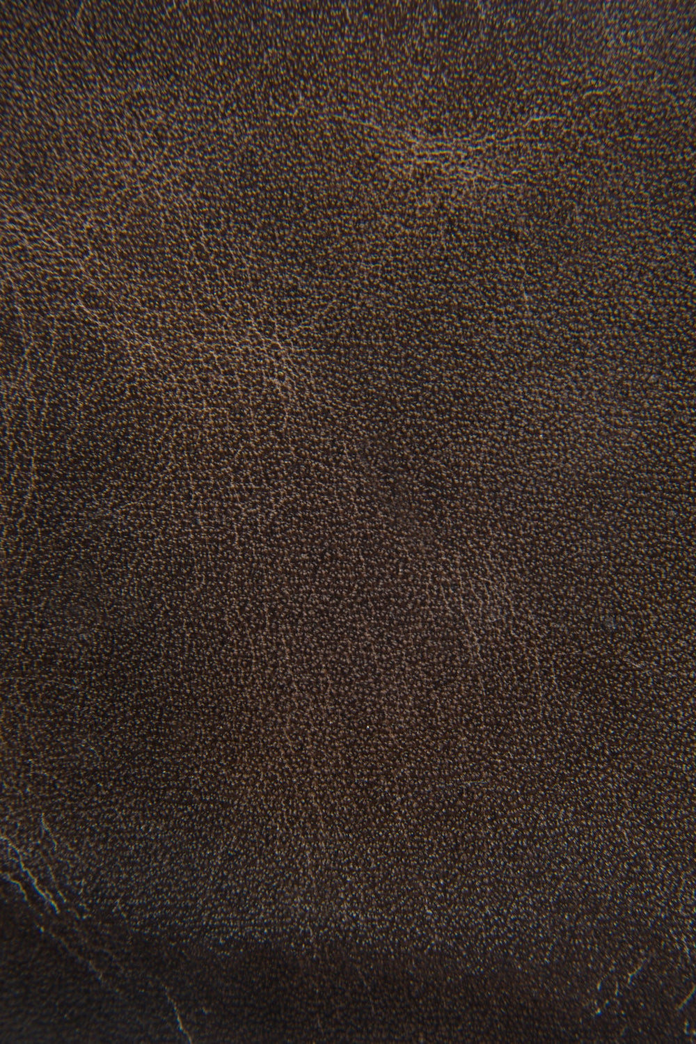 Frye Logan Slate Billfold Slate